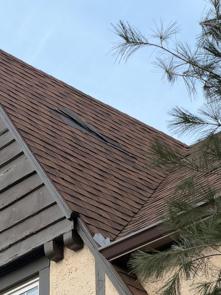 Brown composite roof with multiple peaks and palm fronds overhead against clear blue sky